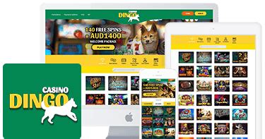 dingo casino
